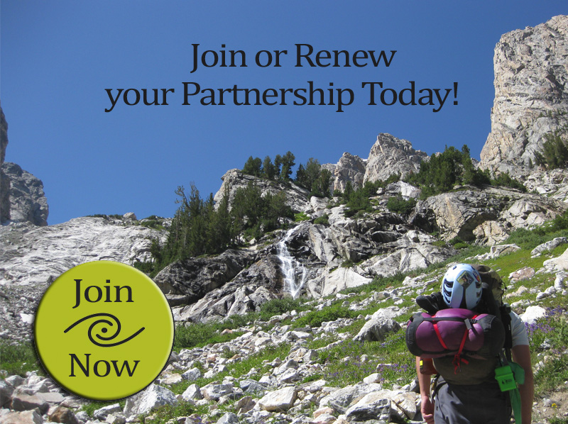 Join-Renew-Partner.jpg