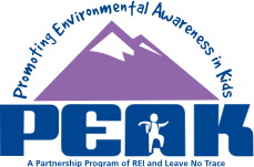 Peak Logo.jpg