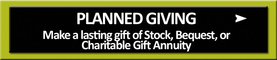 Planned Giving_1.jpg