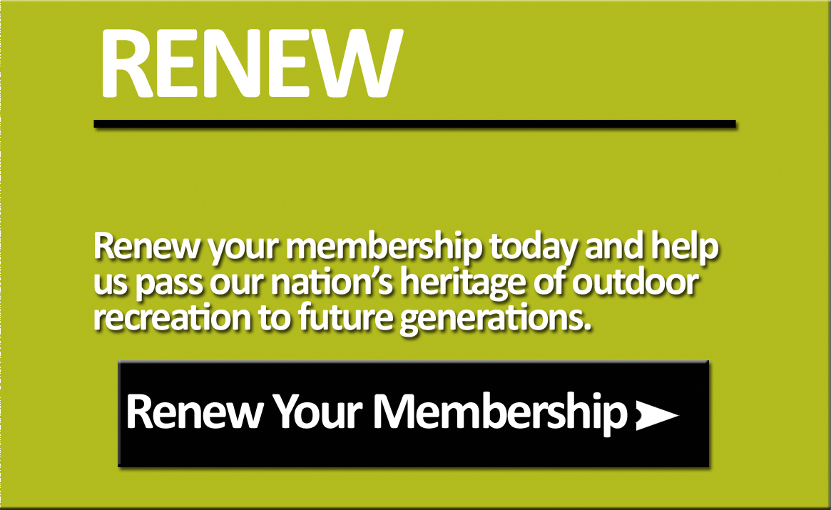 Renew1.jpg