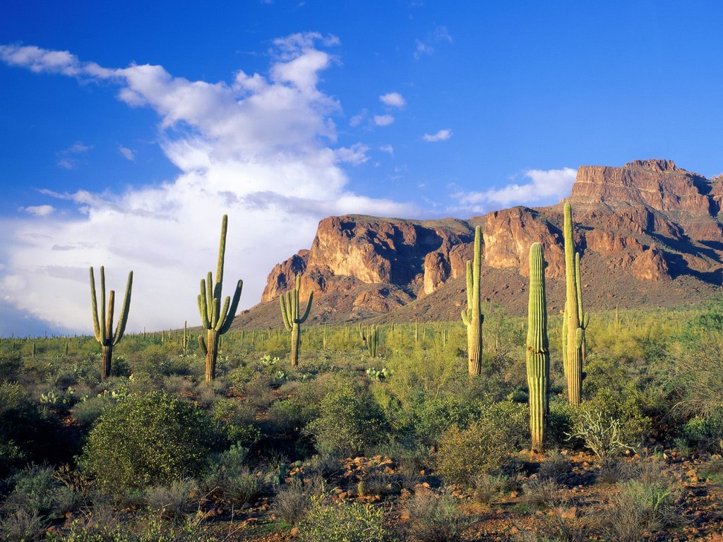 superstition_mountains__tonto_national_forest.jpg
