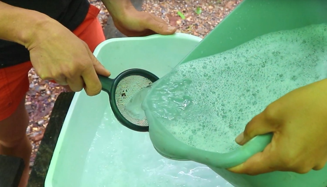 How to Dispose of Dishwater When Camping?