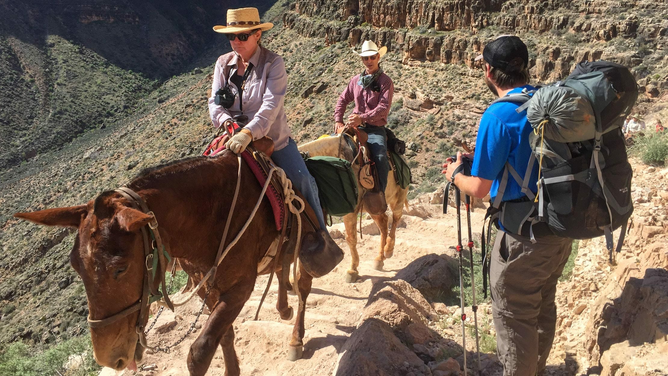 A backpacker moves to the side of the trail as two horses with riders pass by.