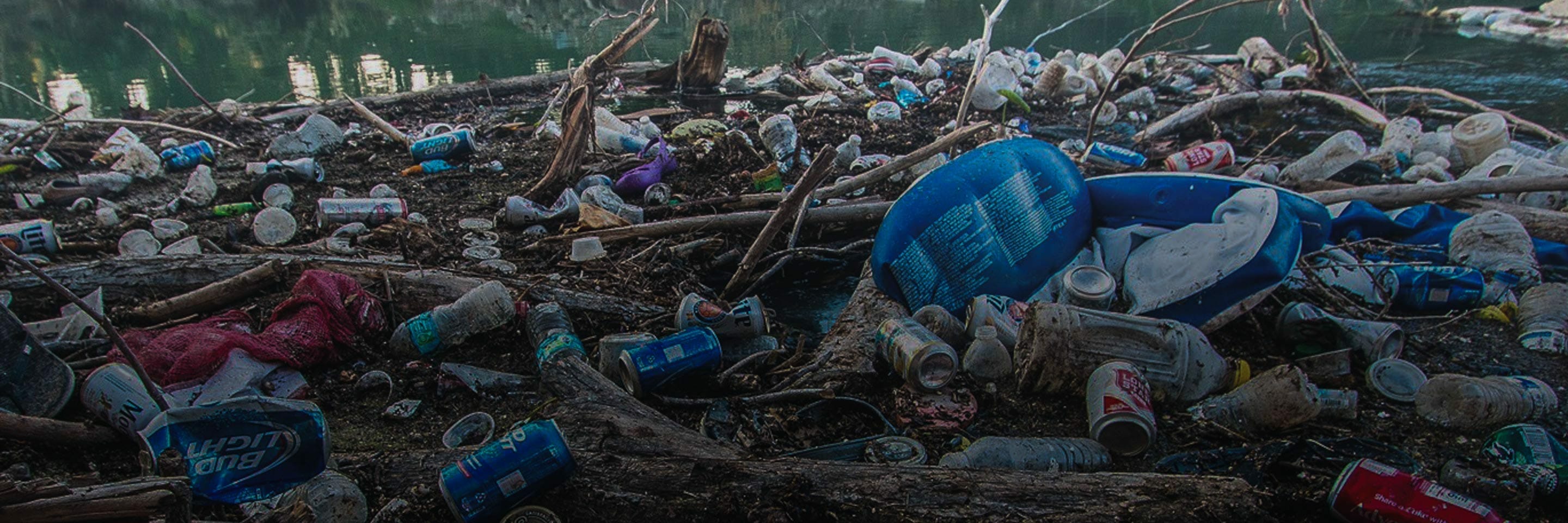 Les déchets verts : pratiques à bannir et solutions Ecodrop !