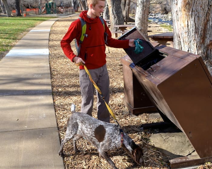 Homme promenant son chien et jetant ses crottes dans une poubelle