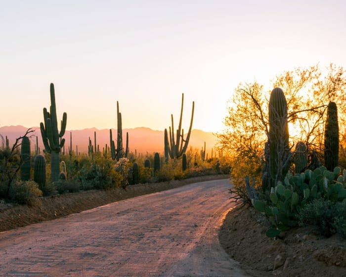 Dirt road in the desert around sundown