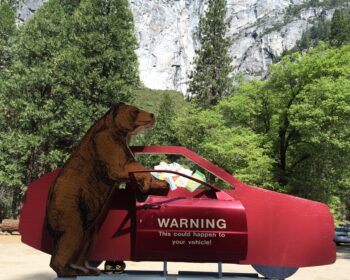 A display in a park showing a brown bear standing on its two hind legs attempting to pull open the door of a red vehicle.