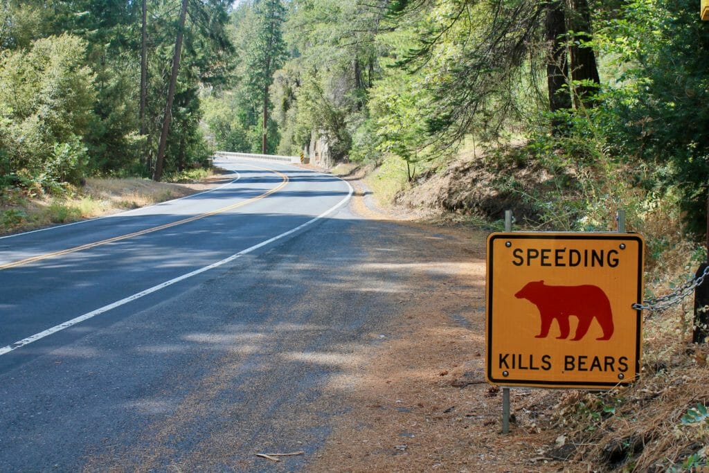 Up, Under and Across: How Do Wildlife Cross a Road? - Leave