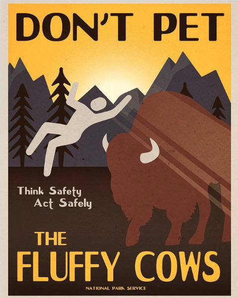 Graphic from the National Park Service showing an individual being thrown in the air by a bison. Text reads: "Don't pet the fluffy cows. Think safety, act safely."
