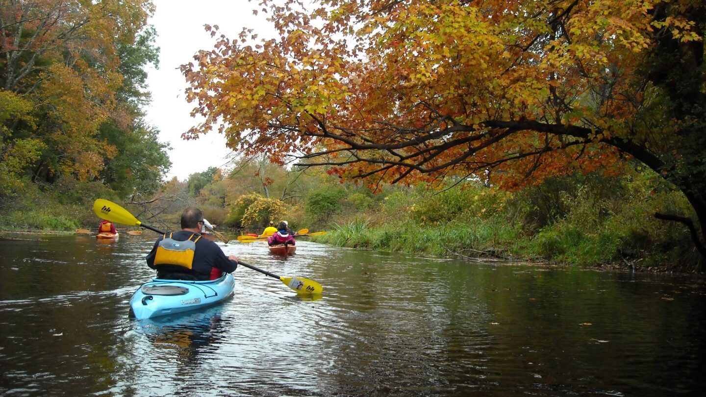 Spotlights - Leave No Trace