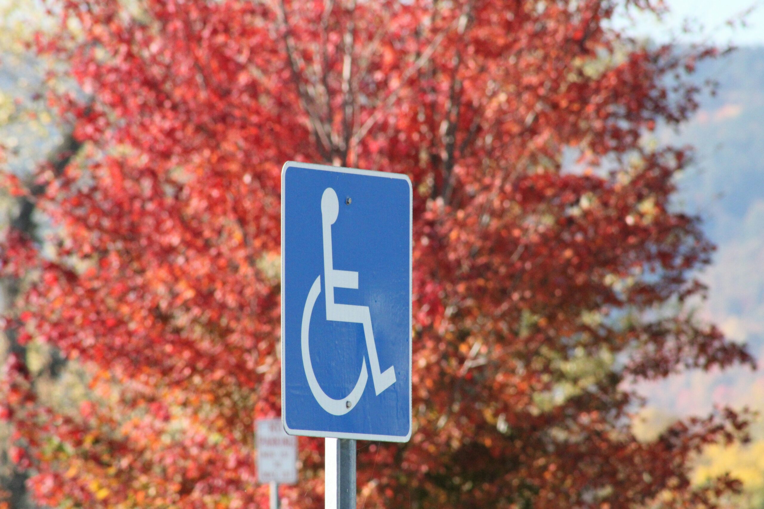 An accessible parking sign.