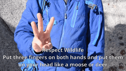 respect de la faune et de la flore langue des signes gif