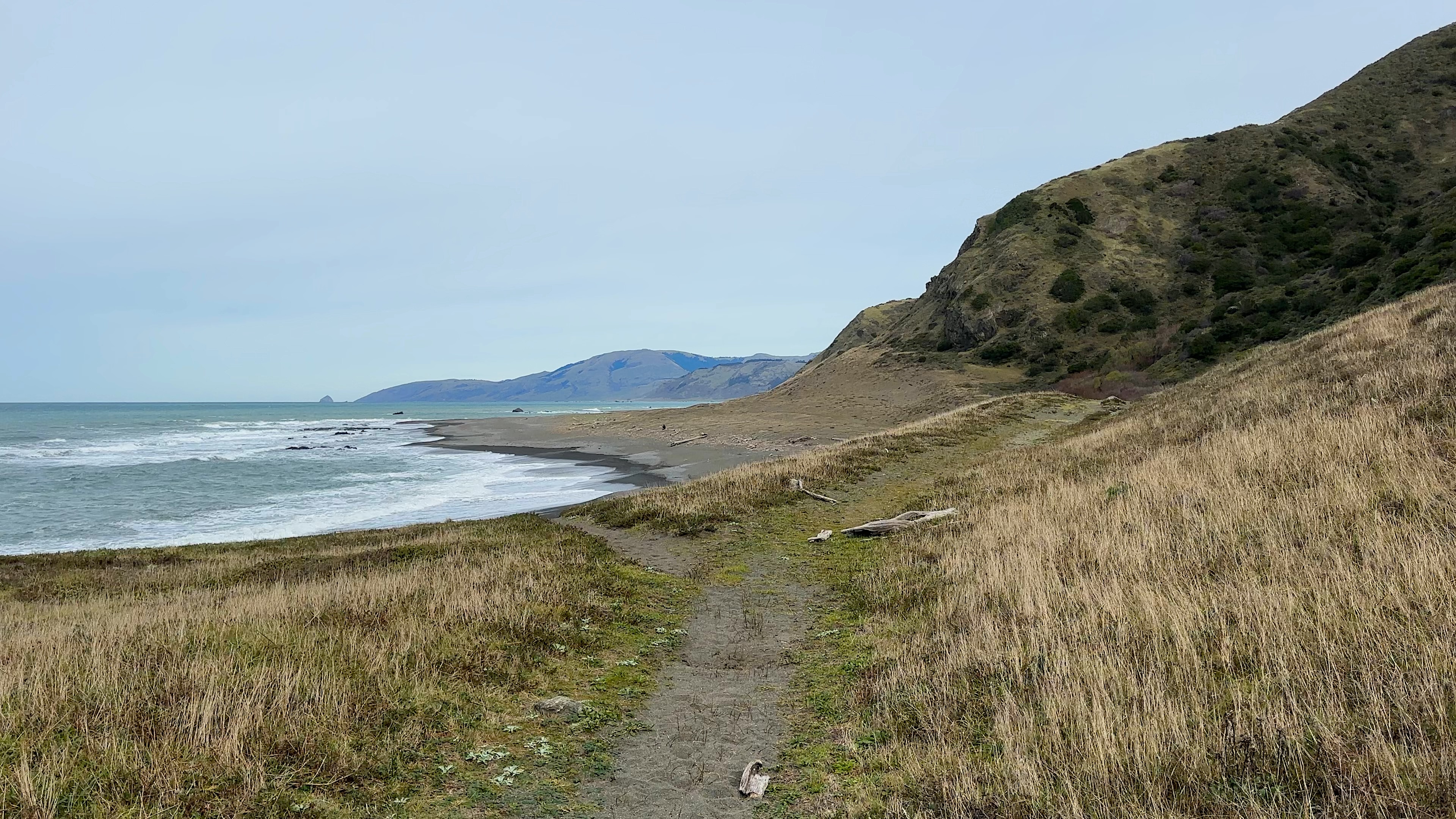 A desolate stretch of California beach