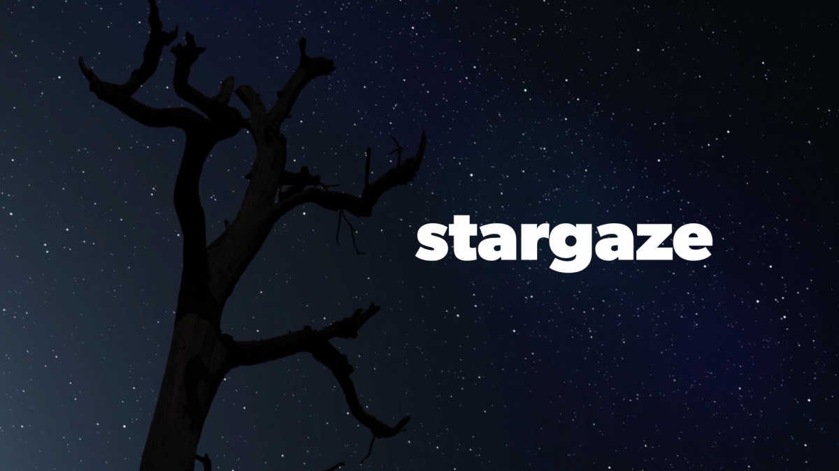stargazing.jpg